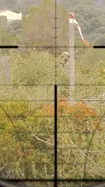 #airsoftgameplay #airsoftmallorca #airsoft #sniper3d #airsoft #mallorca