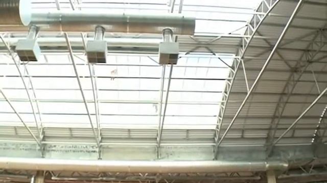 Открытие ярославского аквапарка отложено смотреть онлайн