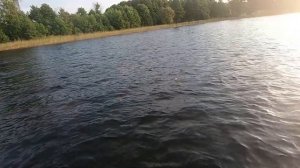 Ловля леща на резинку. На Рыбалку,для души!!!