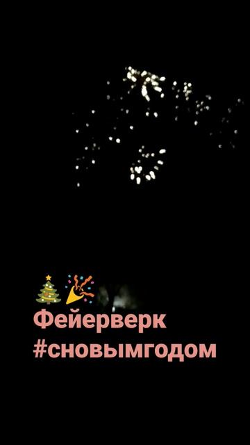 Старая Русса 3.12.2022г. смотреть онлайн