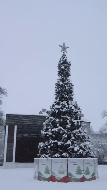 #kaliningrad #russia #калининград #зимавкалининграде смотреть онлайн