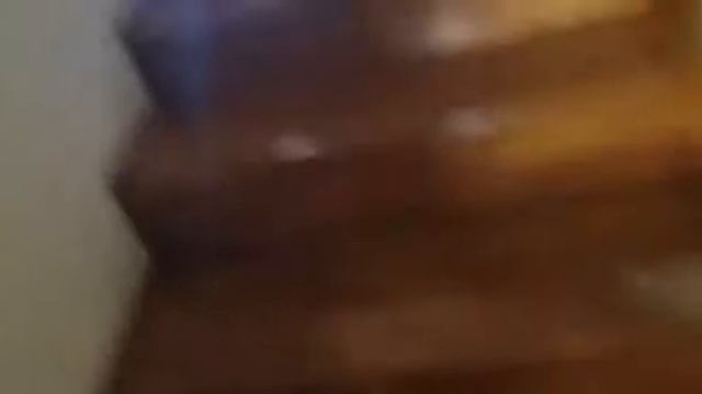 ВЛОГ: Санаторий "Сибирь"
