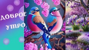 Доброе утро.