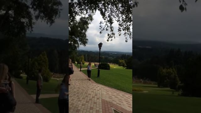 25 августа 2017 г. смотреть онлайн