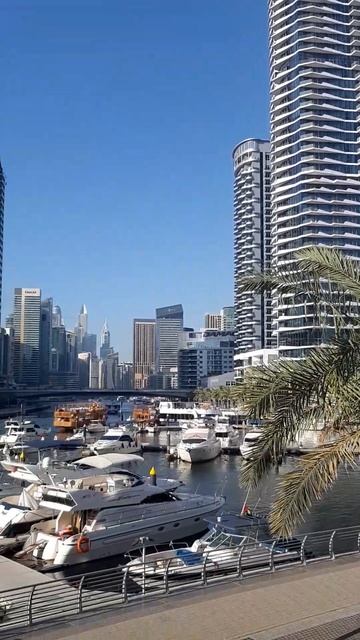 Переехали в другой отель смотреть онлайн