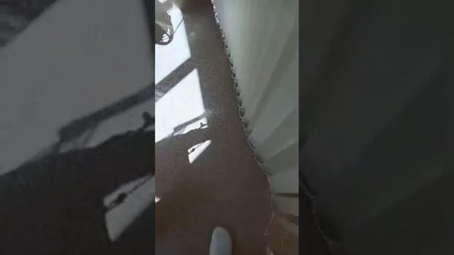 РУСЛАН КРАСНОДАР в прямом эфире! смотреть онлайн