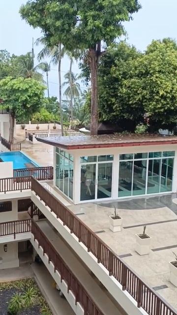 север Патонга, дождь смотреть онлайн