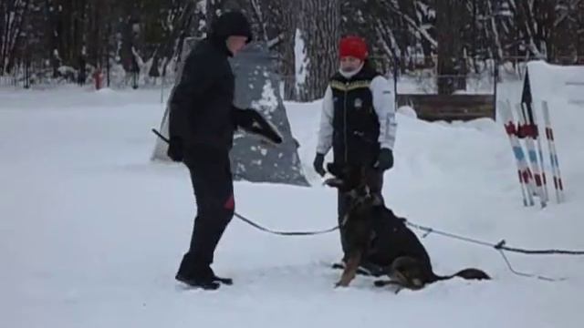 Рома Кусачки 12.02.2017 фрагмент 2 смотреть онлайн