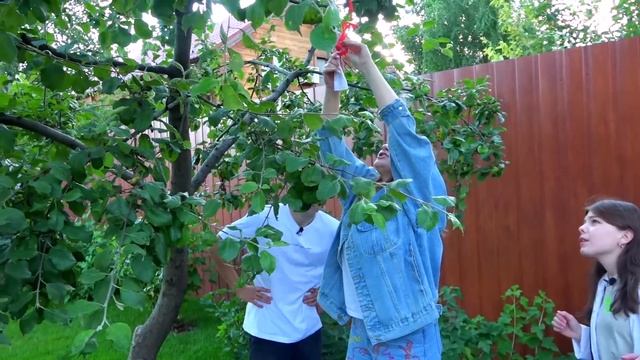 СЕКРЕТНЫЕ КОМНАТЫ БЛОГЕРА И МИЛЛИОНЕРА смотреть онлайн