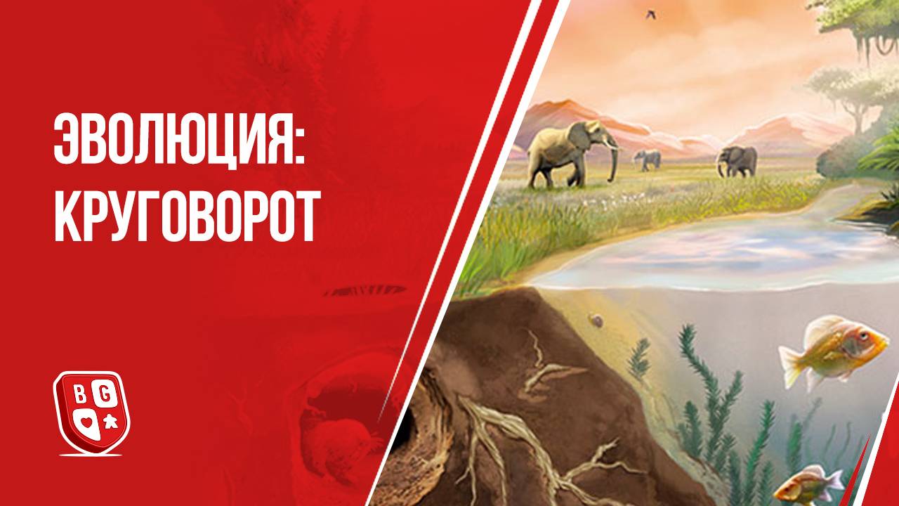 Эволюция Круговорот: Обзор дополнения к настольной игре
