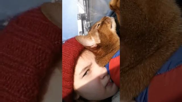 Сима♡ смотреть онлайн