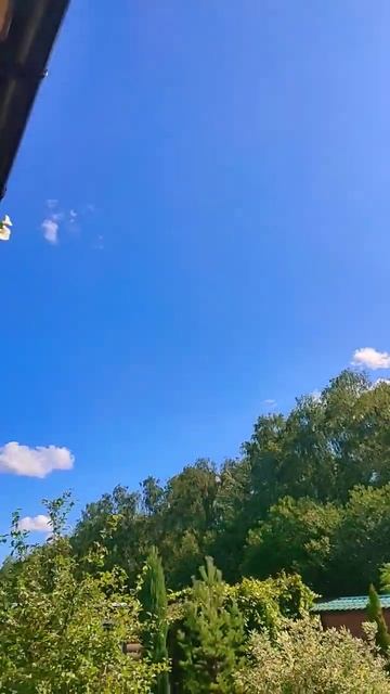 #погода #лето #тепло #жара #подмосковье #дача #shorts #природа #солнце смотреть онлайн