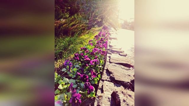 Парк! Санаторий актёр! смотреть онлайн