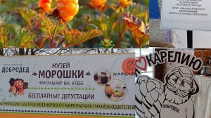 "Маленький музей в уголочке" Музей Морошки Добродед. г. Сортавала Карелия
