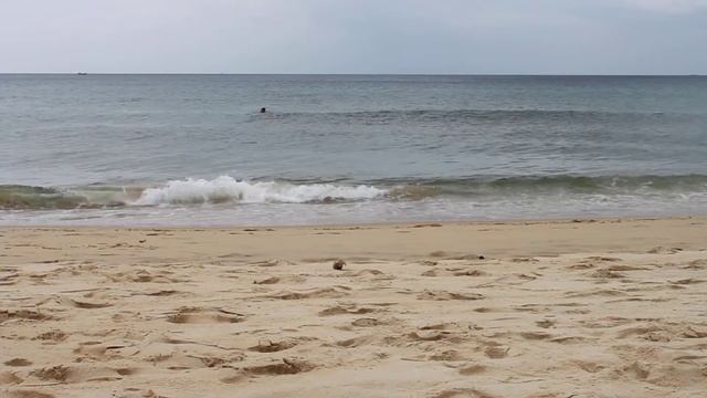 Таиланд, Пхукет, пляж смотреть онлайн