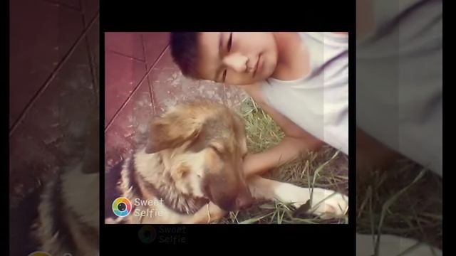 Ават смотреть онлайн