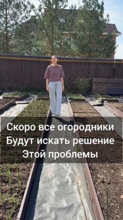 🧄Желтеет перо чеснока