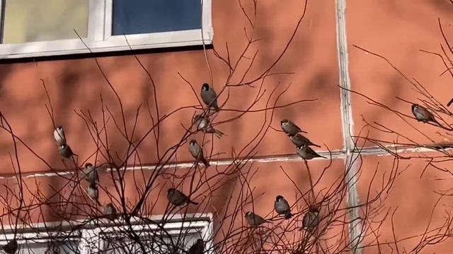 #56 /Camping in the woods ( Поход в лес) /2022 ( Март) смотреть онлайн