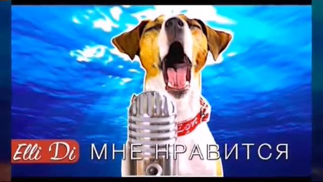 Элиди