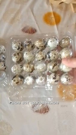 очередной заказ на наше домашнее перепелиное яйцо