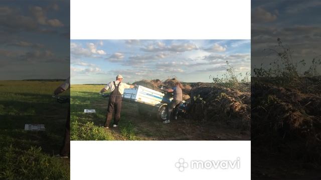 Жизнь на Барской смотреть онлайн