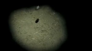 Ария   Осколок льда   2002 480p