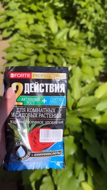Находка для всего сада и комнатных цветов #shorts #комнатныерастения