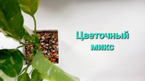 310. Цветочный микс 25.04.2025.
