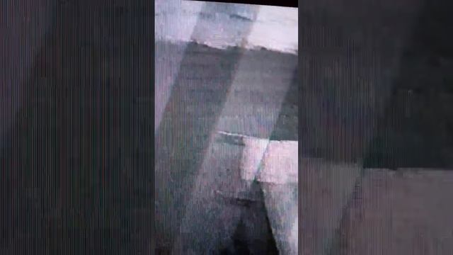 1 августа 2019 г. смотреть онлайн