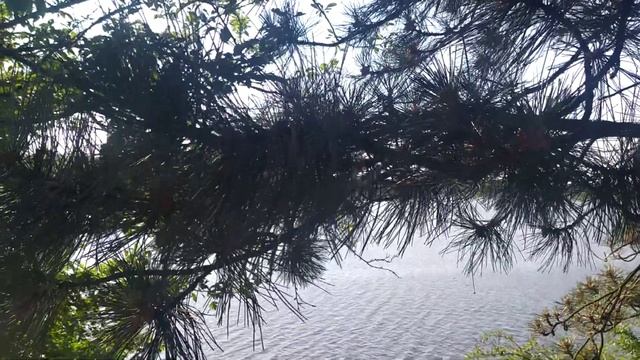 покой и умиротворение, райский уголок смотреть онлайн