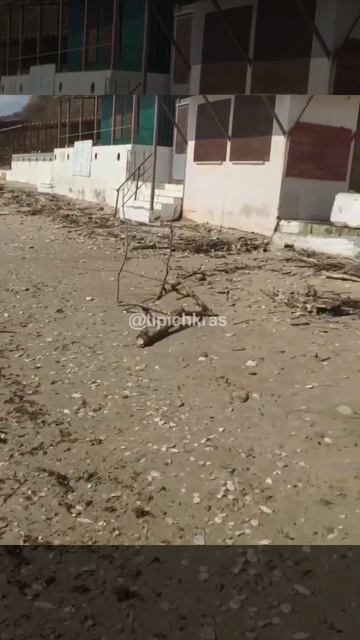 "ЛАЗУРНЫЙ" БЕРЕГ В ТУАПСЕ - Типичный Краснодар
