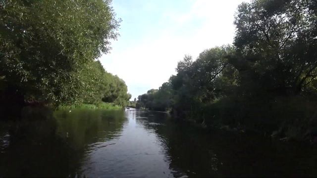р.Бобр впадение в Березину