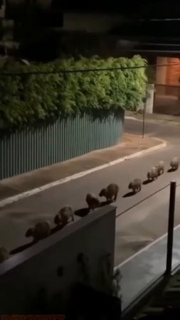 Звёздные войны