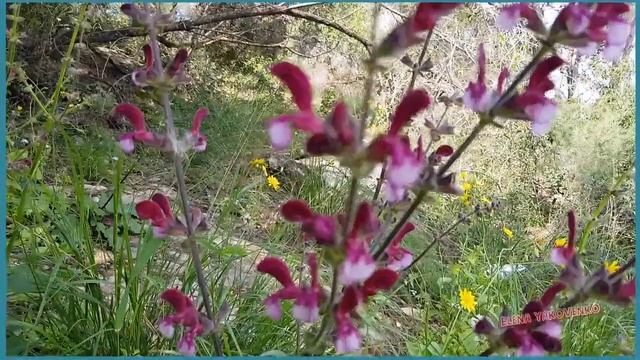 Где провести выходной день смотреть онлайн