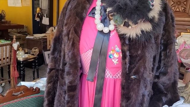 Обзор антикварной лавки, Верхние Пиренеи, Франция. смотреть онлайн