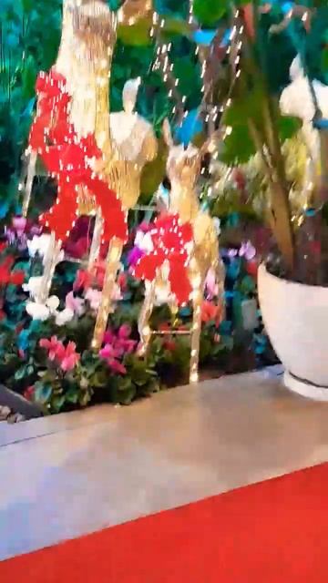 иду смотреть отель Беверли хилз,там снимали одноимённый сериал #shorts #америка #usa #лосанджелес смотреть онлайн