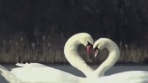 На двоих одно дыхание // исполнитель Алексей Смирнов // время V минус