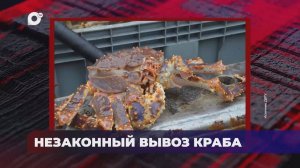 В порядке! / НЕЗАКОННЫЙ ВЫВОЗ КРАБА / СНОВА ЖЕНЬШЕНЬ / РОГА САЙГАКА / 25.04.25