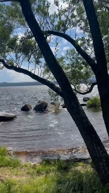 25 июня 🌊🌲🌳очень ветренно 🙃Первый день отдыха 😎 смотреть онлайн