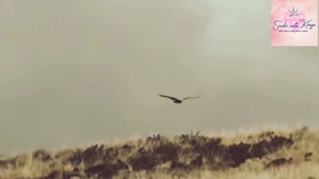 The Eagle Mentality || These 7 Habits Will Change Your Life In 2023 || Best Motivational Video 🔥🔥🔥