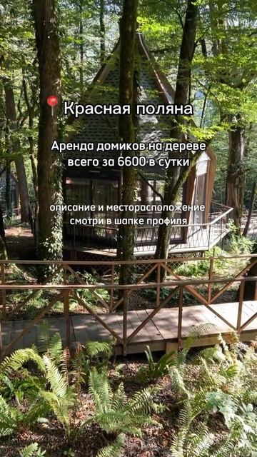📍Аренда домиков на Красной поляне за 6600 в сутки. Промокод и описание локации в шапке профиля.