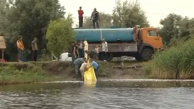 Dneprinfo Новоселица смотреть онлайн