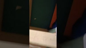 Oh My God Poco бом Я видел