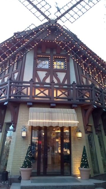 Мельница кафе МАНДАРИНОВЫЙ ГУСЬ Смоленск #restaurant #ресторан смотреть онлайн