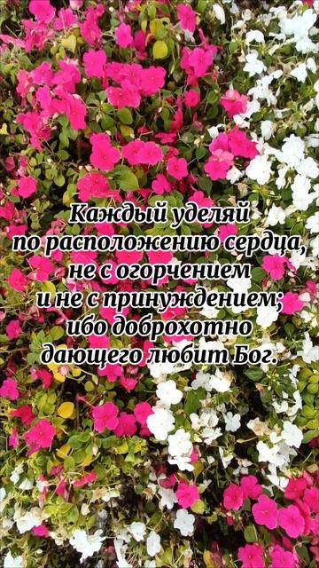 Каждый уделяй по расположению сердца #отсердцаксердцу #поэзия #стихи #shorts