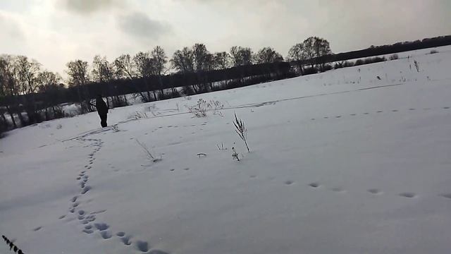 День влюбленных. Пеший выход.