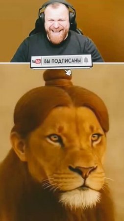 Львы