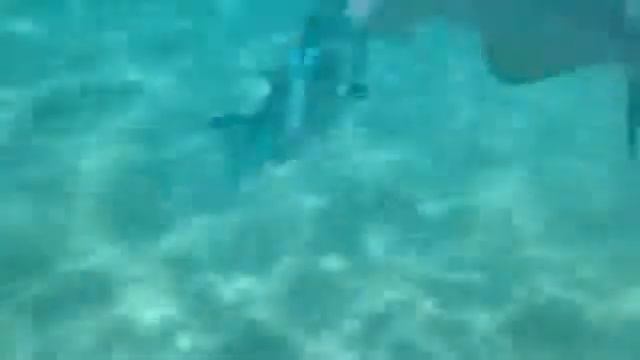 Шармэльшейх.Tropitel Naama Bay 5