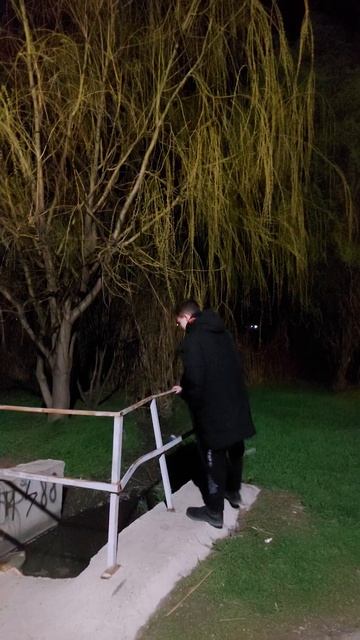 ДОМ МИЛЫЙ ДОМ #shorts смотреть онлайн