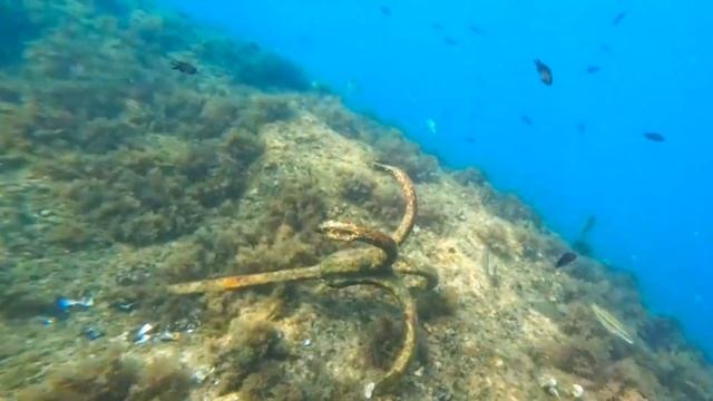 ДАЙВИНГ-ЦЕНТР ''БАРРАКУДА'' ГОРОД-КУРОРТ ГЕЛЕНДЖИК смотреть онлайн